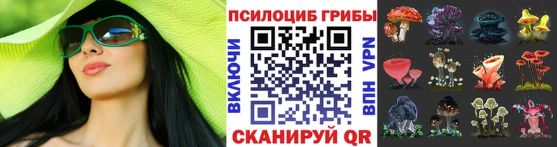 Псилоцибиновые грибы Psilocybine cubensis  купить  цена  Дербент 